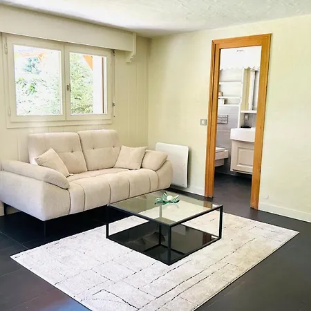 Chalet Spacious In With Mont Blanc View *