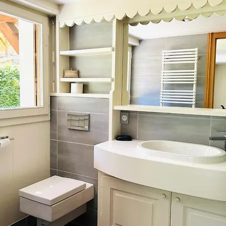 Chalet Spacious In With Mont Blanc View