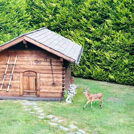 Spacious In With Mont Blanc View