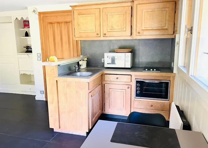 Spacious In With Mont Blanc View *